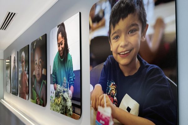 capital-area-food-bank_54471418408_o